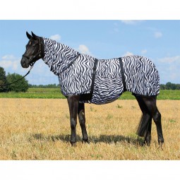Ekzemerdecke Zebra